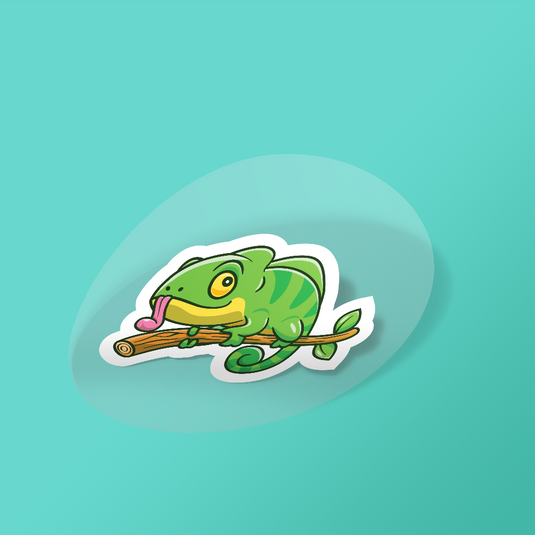 Clear (Transparent) Vinyl Stickers