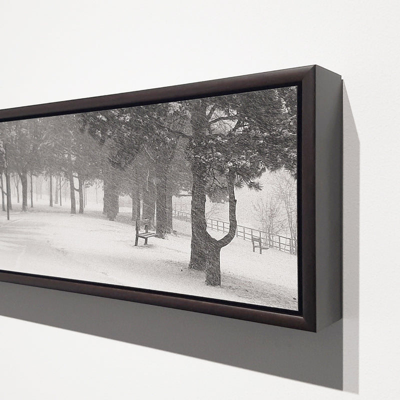 Load image into Gallery viewer, Custom Floater Frame
